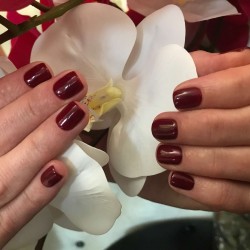 D958D898-CE31-4765-B97E-C10CE2980ECE_thumb